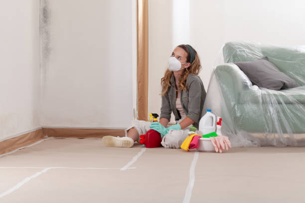 Reliable Mold Remediation contractor in Orange Park, FL by WQB Mold Removal